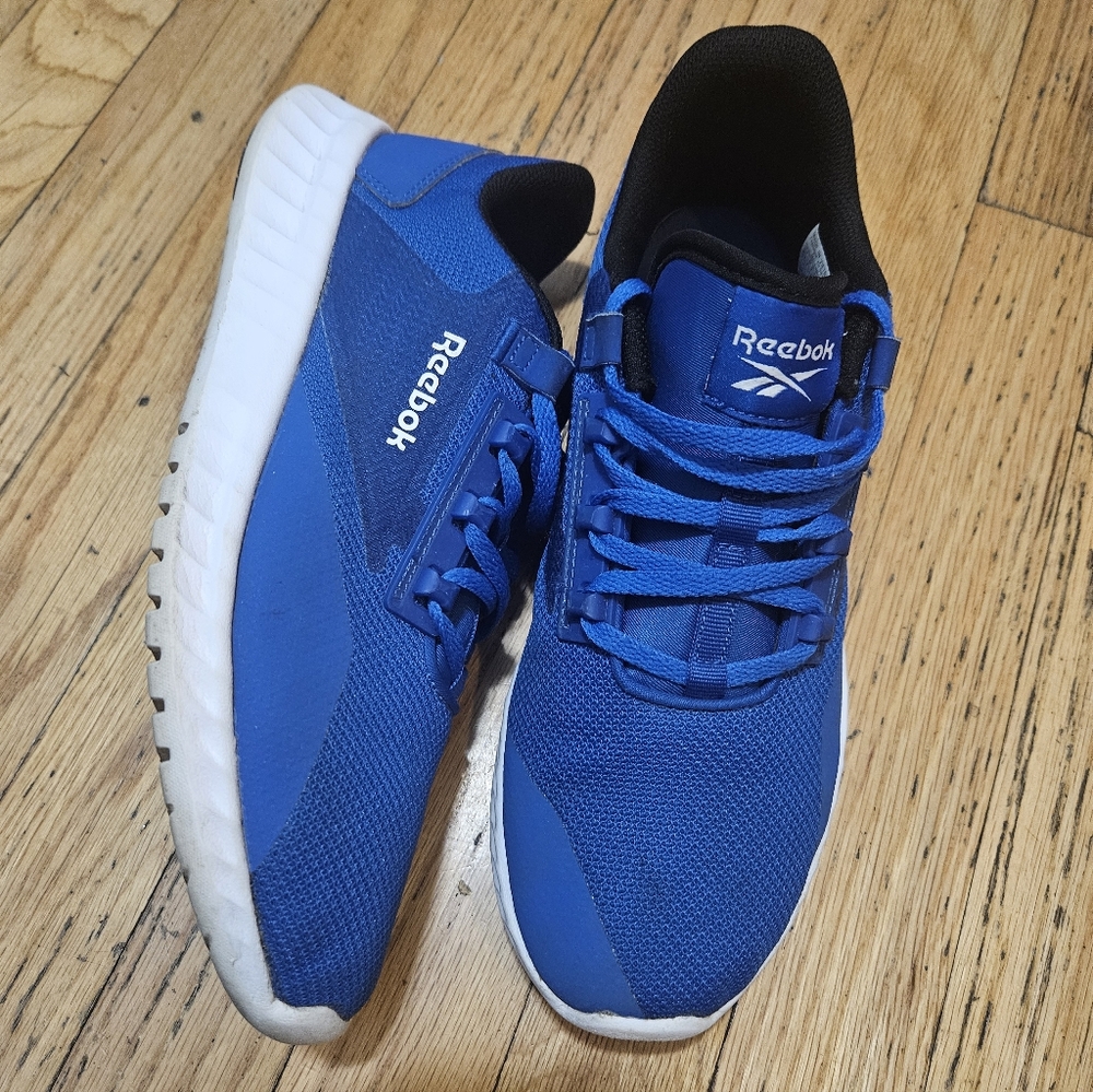 Reebok Men's Royal Blue Mesh Sneakers